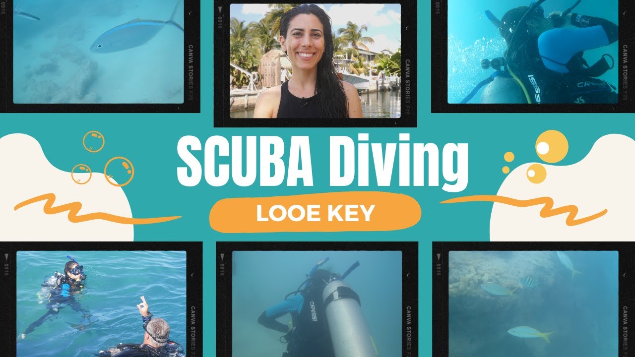 Scuba Diving in the Florida Keys – VLOG in Brazilian Portuguese
